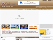 Tablet Screenshot of indie.pl
